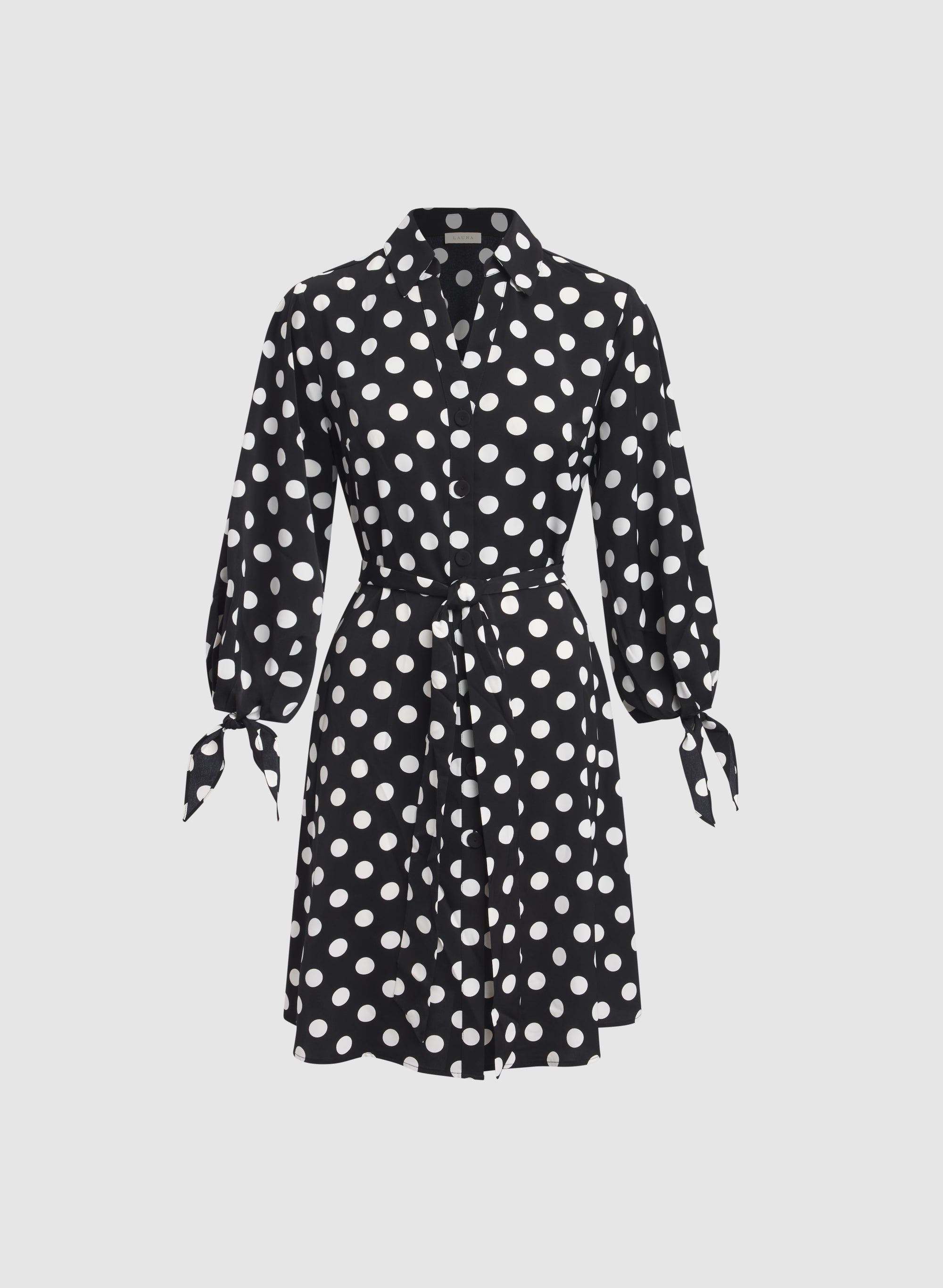 Polka Dot Shirt Dress