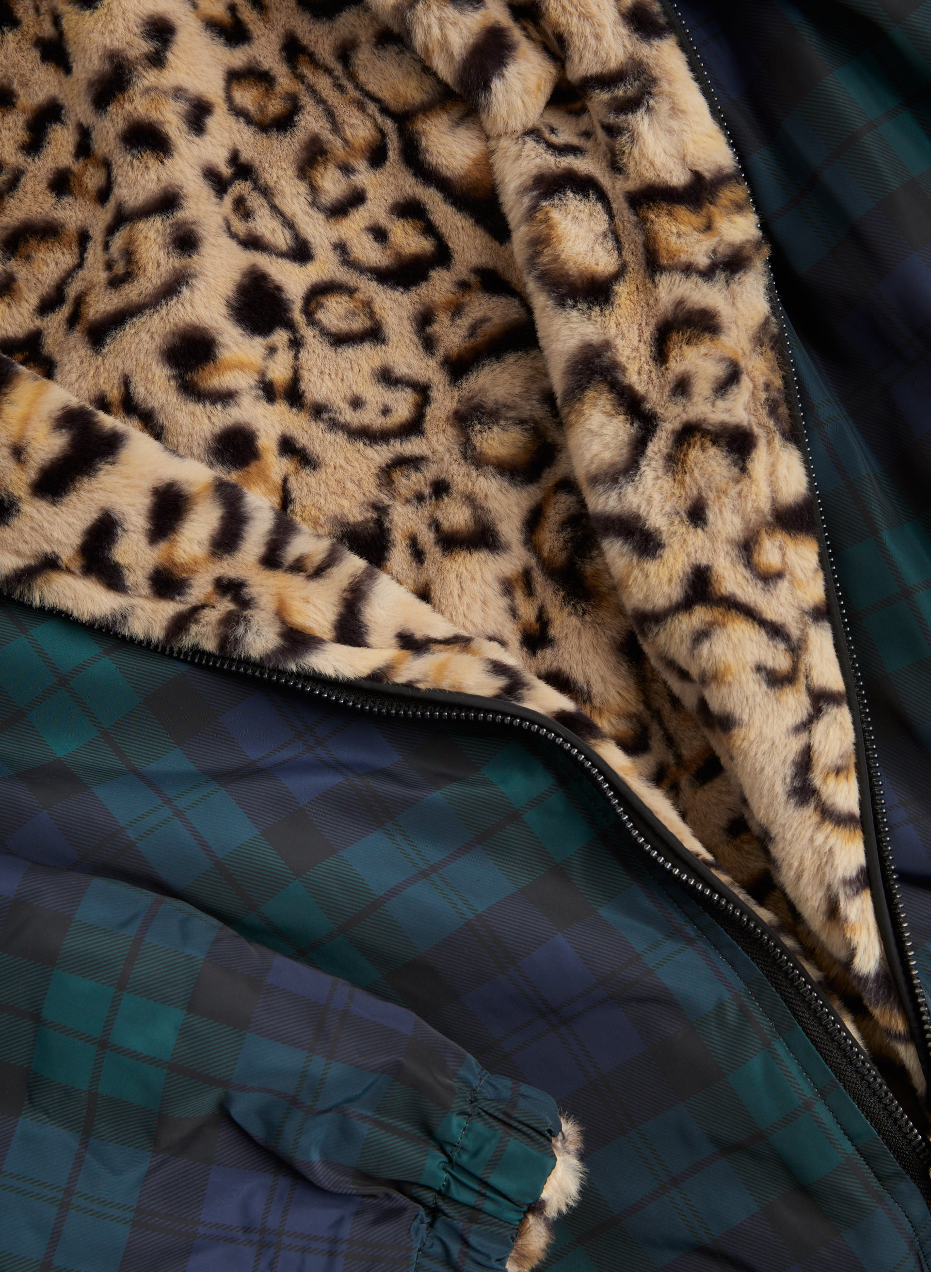 Blue leopard jacket shop